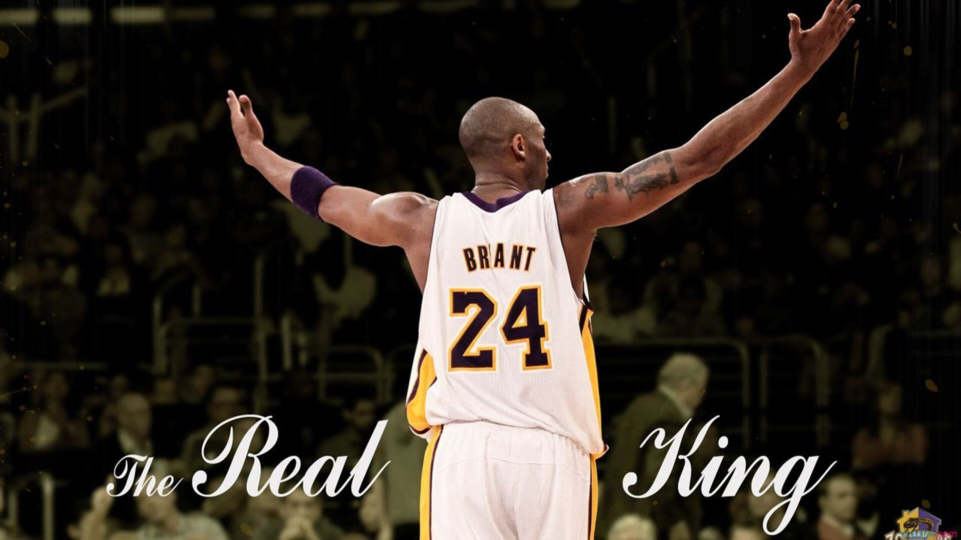 公牛前途光明!,德布劳内新星夺冠表现突出观众掌声雷动